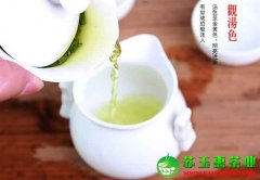 中国最贵的茶叶价格都有哪些呢？